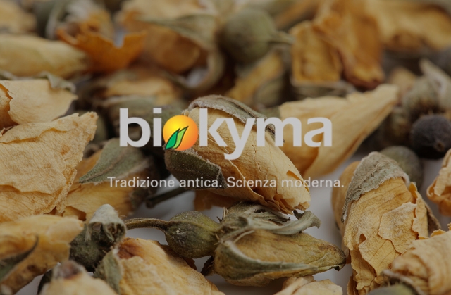 BIOKYMA S.r.l.